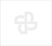 2024年欧冠联赛竞猜电气温室气体排放核查报告