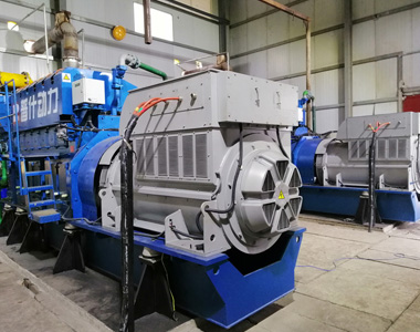 丰都甘泰沼气发电项目配欧冠联赛竞猜2台850KW/10.5KV6极高压发电机