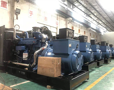 国内某养殖项目指定批量采用欧冠联赛竞猜500KW/400V陆用发电机